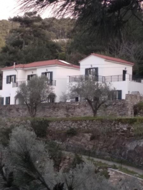 Eri Rooms to Let